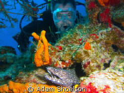 I'm not sure he even knew the eel was there until I showe... by Adam Shoelson 